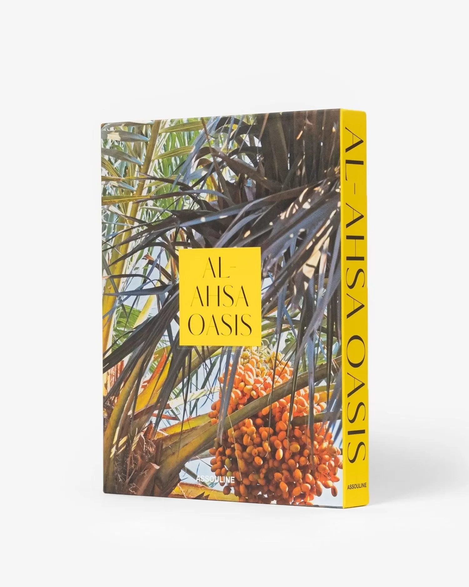 saoediarabie_alahsaoase_3.webp Saoedi-Arabie: Al-Ahsa-Oase-Assouline Outlet